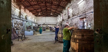 Visita a las bodegas de Cockburn