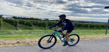 E-Bike-Tour und Weinprobe ab Desenzano Inland