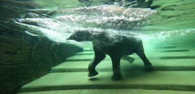 Leipzig Zoo: Entry Ticket