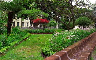 Municipal Garden of Funchal