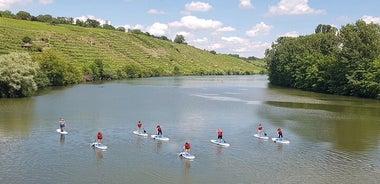 SUP BASIC COURSE Stuttgart Neckar 스탠드업 패들링 / 패들링 어드벤처 존스 투어