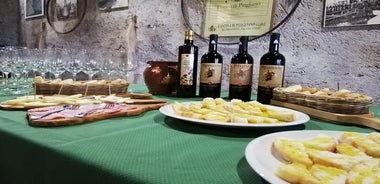 Wine Tasting And Typical Products And Visit Of The Excavated Wine Cellar In Tufo