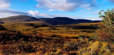 From Killarney: Ring of Kerry Full-Day Tour