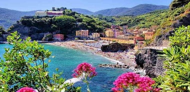 Cinque Terre og Písa Heilsdags einkastrandferð frá Livorno höfn