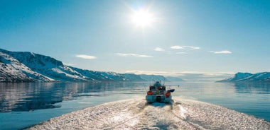 From Alta: Adventure Cruise in Alta Fjord