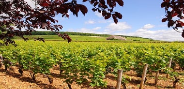 Tour privato di più giorni della Côte de Nuits e della Côte de Beaune