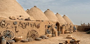 Einkarek Göbeklitepeferð frá Istanbúl með flugvél