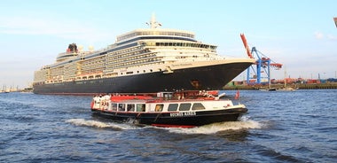 Tour del porto di Amburgo con una chiatta