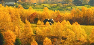 From Brasov: Romanian Mountain Villages Day Tour