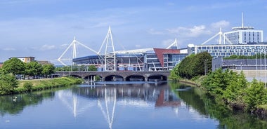 Tour a piedi di mezza giornata a piedi privato di Cardiff