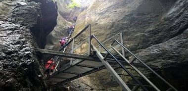 Excursion d'une journée au canyon Seven Ladders