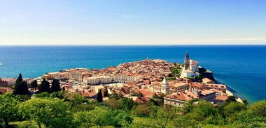 Tour a piedi di Pirano con degustazione di vino e cibo locale