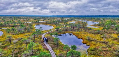 Riga: Best of Kemeri National Park In One Day