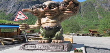 Visite d'Alesund à Trollstigen, le pays des trolls