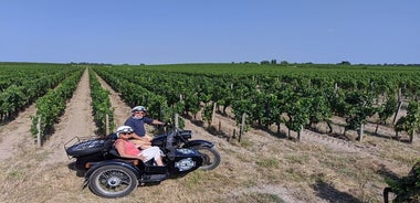 2 en 1 - Visita de Burdeos y excursión en un viñedo