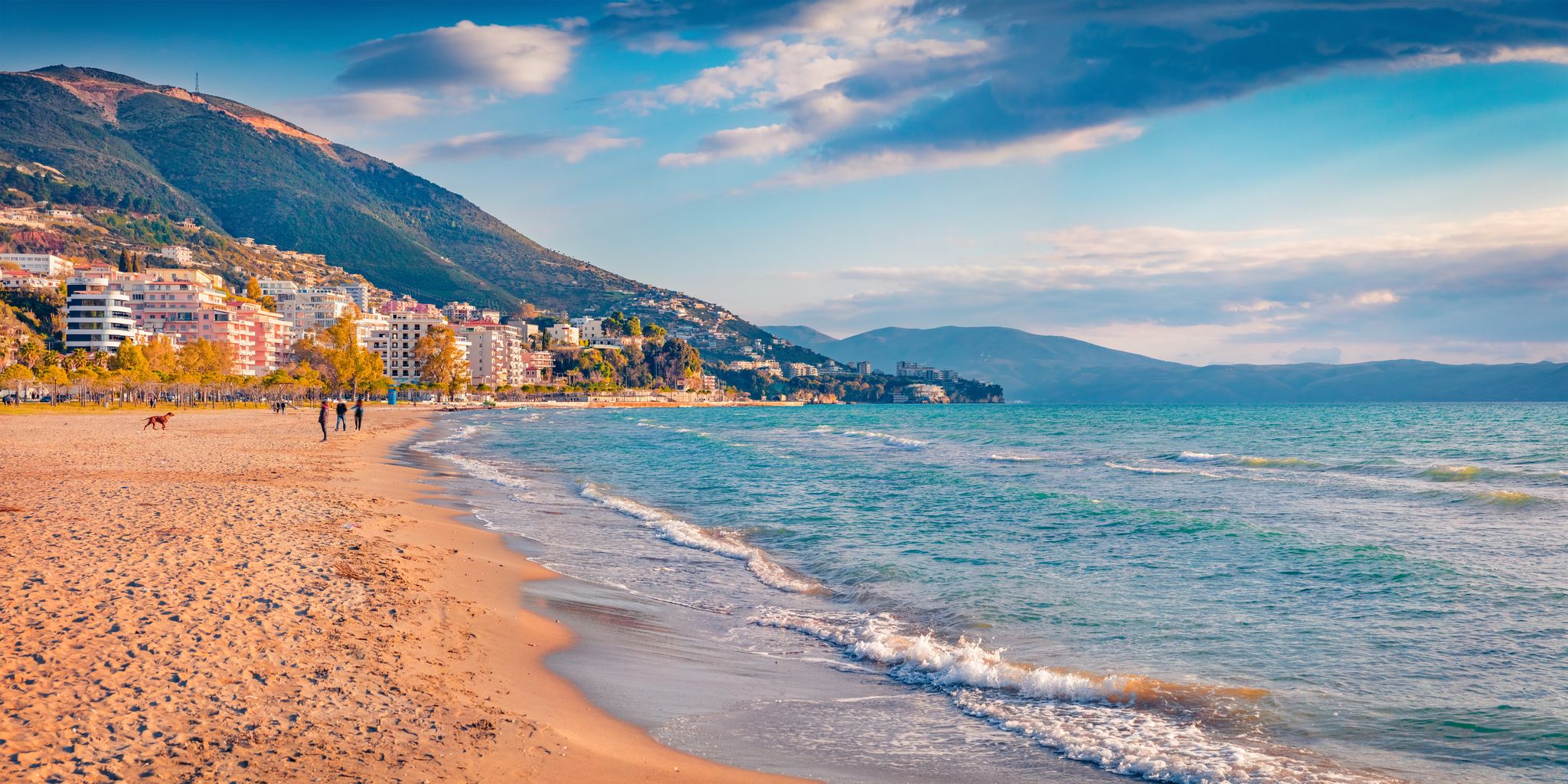 Vlore car rental