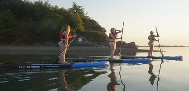 Stand Up Paddling Adventure