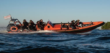 High-Speed RIB Tour of Helsinki Archipelago 