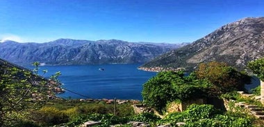 コトル湾でのサイクリングとハイキングのショートツアー