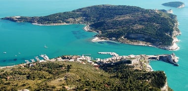 Tour in Barca Condiviso nel Golfo dei Poeti a La Spezia