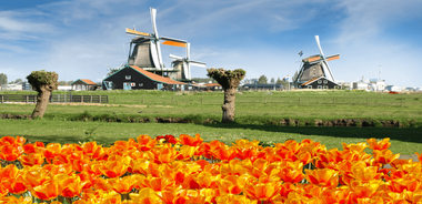 Amsterdam: Keukenhof and Zaanse Schans Windmills Day Trip