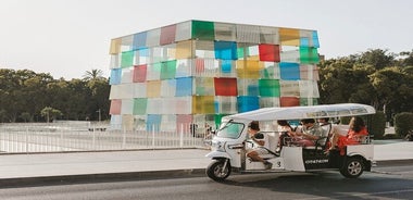 Tour Experto por Málaga en Eco Tuk Tuk Privado