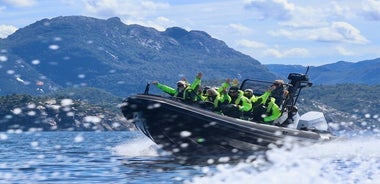 Lysefjord RIB Safari from Stavanger