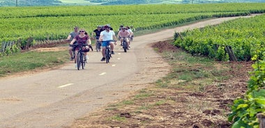 コート ド ニュイの 1 日電動自転車とワイン ツアー