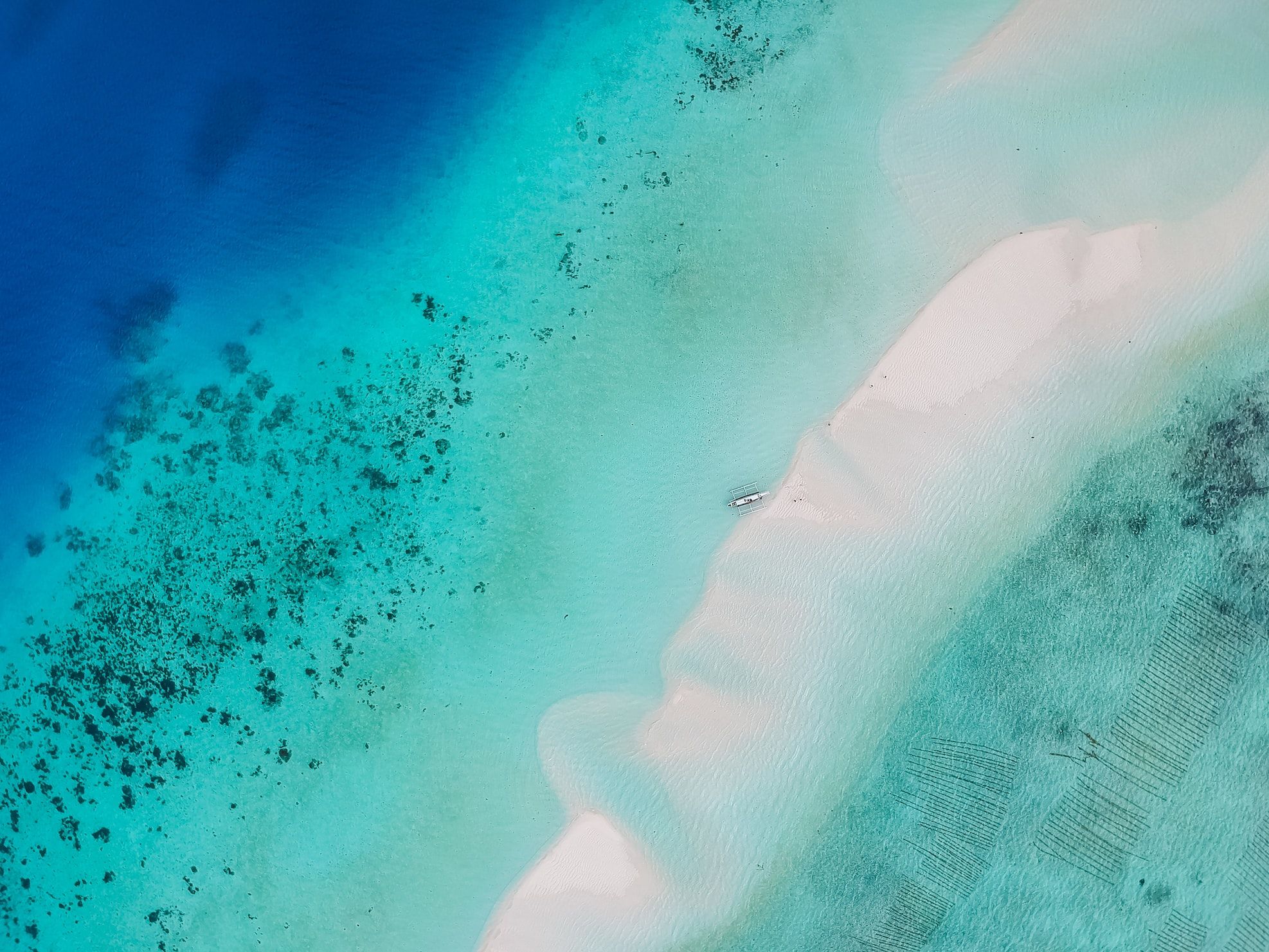 칼리보로 도착 항공편