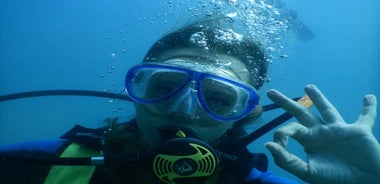 Pula: Introduction to Scuba Diving