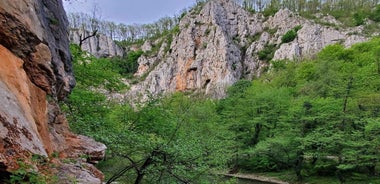 From Oradea: Gorges of Crisul Repede River