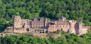 from Frankfurt: Heidelberg, Mercedes Museum & Schwetzinger Schloß