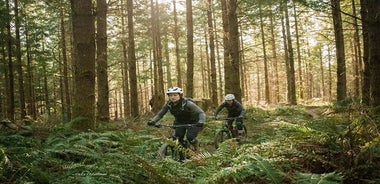 Gite di un giorno guidate in bici elettrica Dorset