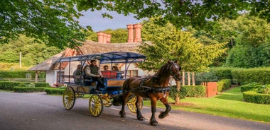 Killarney: 1-Hour Jaunting Car Horse and Carriage Tour