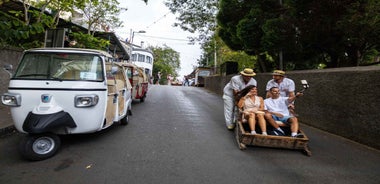 Funchal: Leiðsögn í Tuk Tukferð til Sleðabrautanna