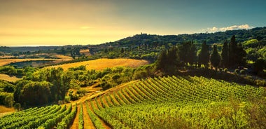 Private Gourmet Wine Tour in Tuscany, Italy