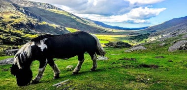 Ganztägiges Sightseeing-Abenteuer in Nordwales ab Manchester