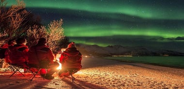 Tour dell'aurora boreale da Tromsø