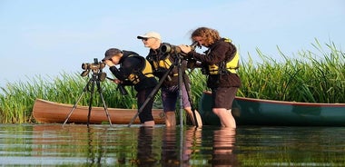 BIRDWATCH - Nemunas Delta Regional Park의 Cape Vente에서 프리미엄 가이드 카누 투어