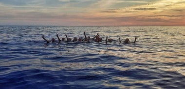 2 Hr Shared Cinque Terre Sunset Cruise with Swim Stop {wine inc!}