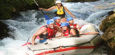 Esperienza di rafting di mezza giornata sul fiume Cetina con Cliff Jumping e altro