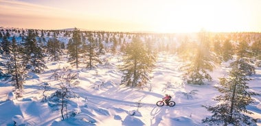 Tour privato in fat bike elettrica a Saariselkä