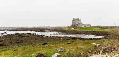 From Galway: Cliffs of Moher and The Burren Guided Day Trip