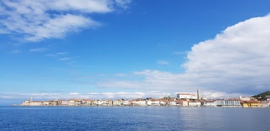 Erleben Sie die slowenische Küste mit einer Weinprobe aus Triest