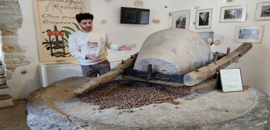 Tour guidato di storia e cultura di mezza giornata a Naxos