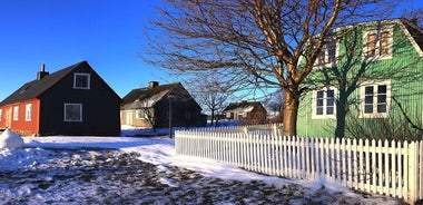 Borgarkort Reykjavíkur 72 klst