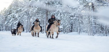 Natura innevata a cavallo nell'Apukka Resort, Rovaniemi