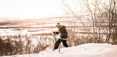 Aventura de invierno de 4 horas que incluye viaje con raquetas de nieve y visita al hotel de hielo