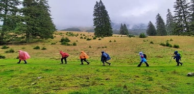 Visite privée à pied d'une journée à Pestera et Magura au départ de Brasov