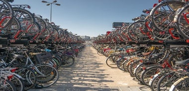 Ausflug nach Amsterdam mit dem Bus ab Brüssel